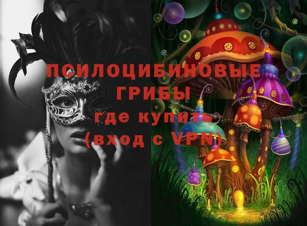 прущий лед Алзамай