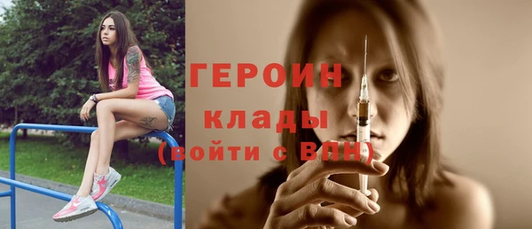индика Алексин