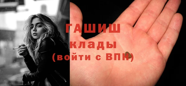 индика Алексин