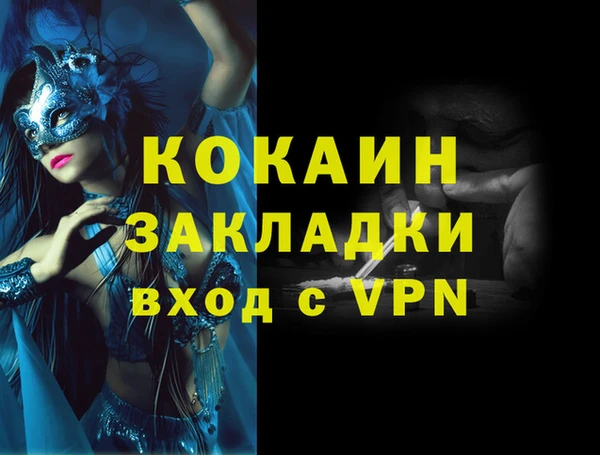 индика Алексин