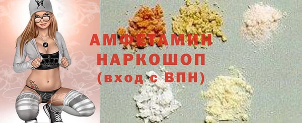 индика Алексин