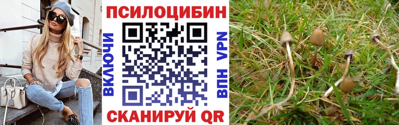 Псилоцибиновые грибы ЛСД  наркошоп  Тобольск 
